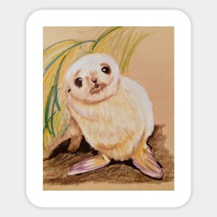 Baby Seal Sticker